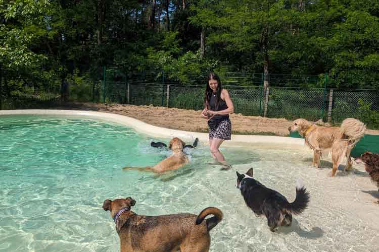 FourDogs Hundehotel mit großem Hundepool