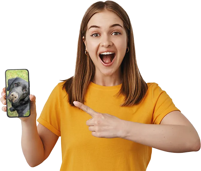 Four Dogs – Fotoupdates